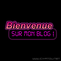 bienvenue dans mon petit blog